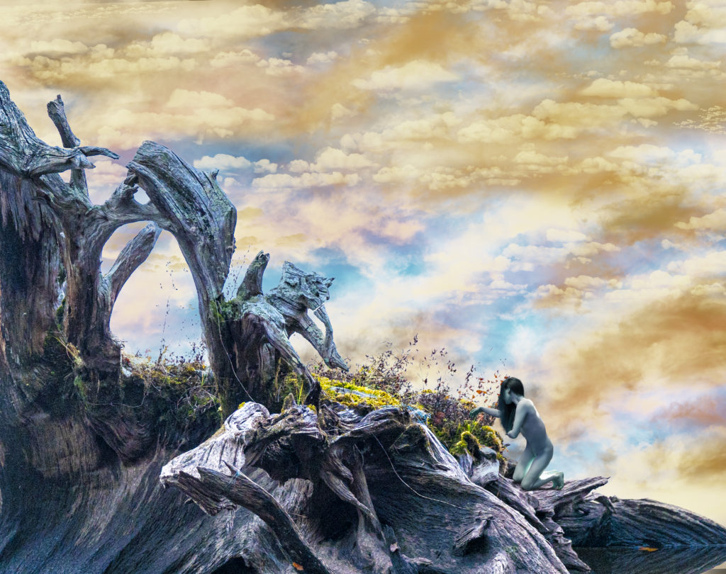 Magic Herb Harvest copy