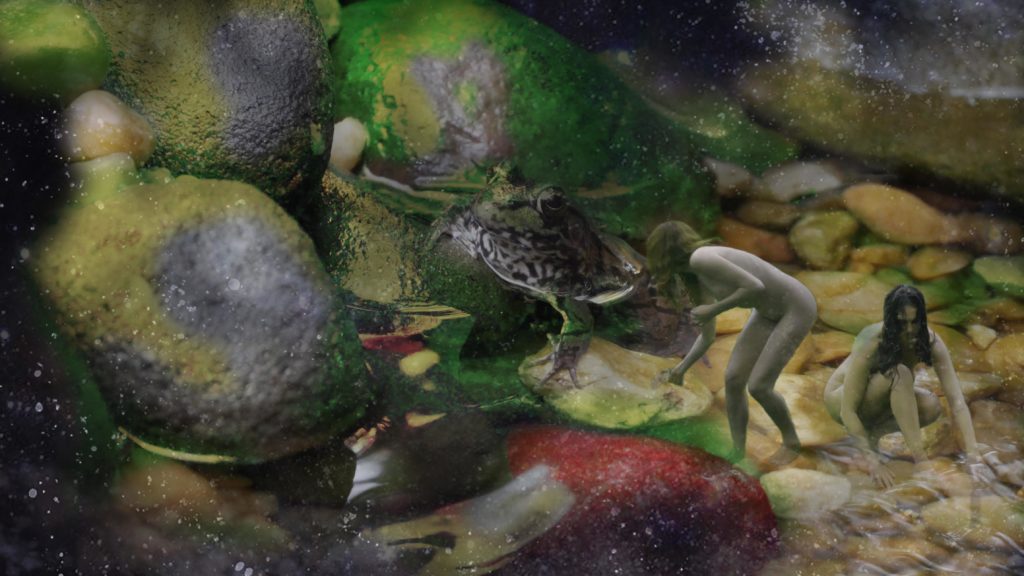 Stardust Frog2 P1240090 LoRes