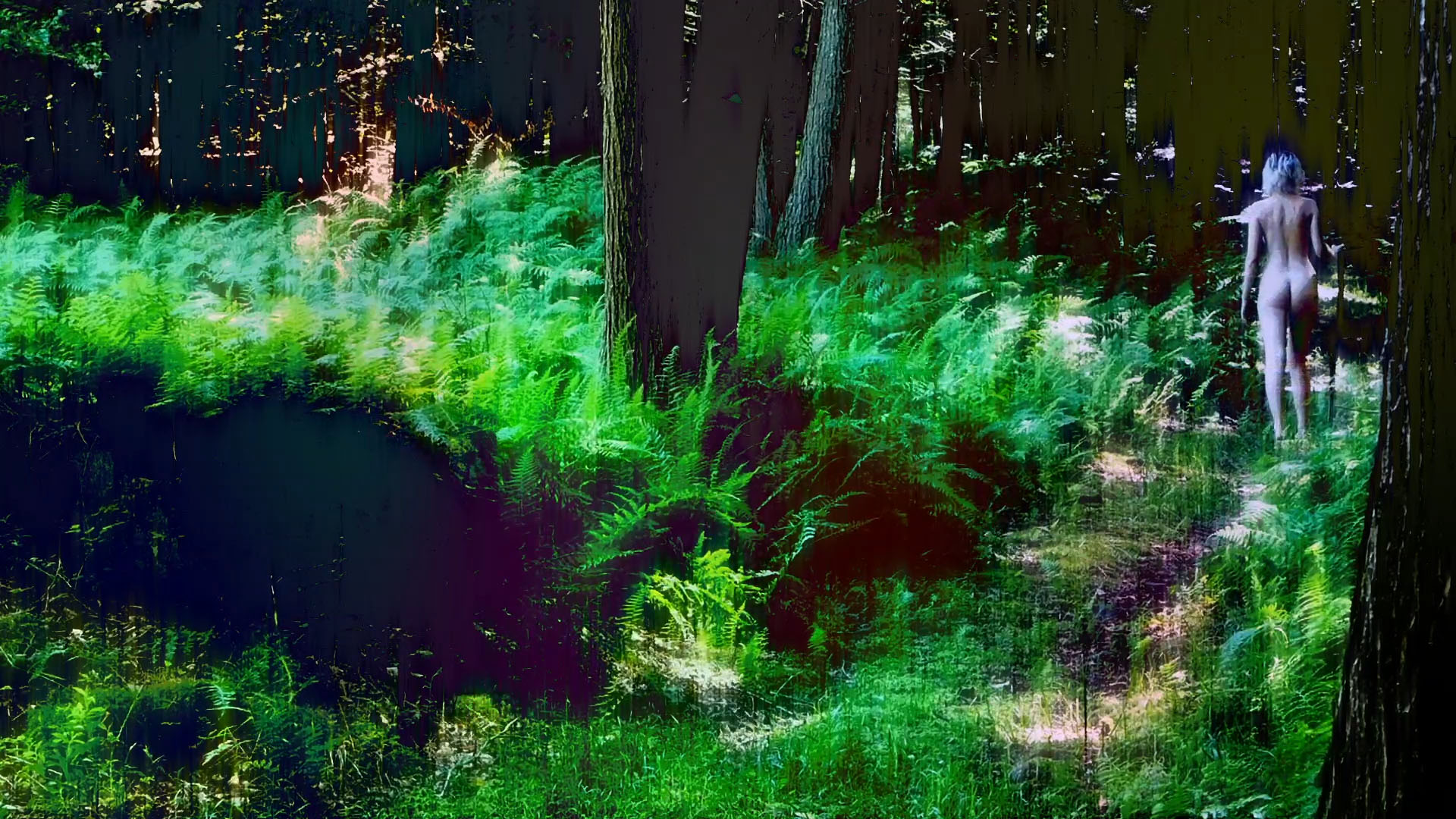 Forest Bedroom (video)