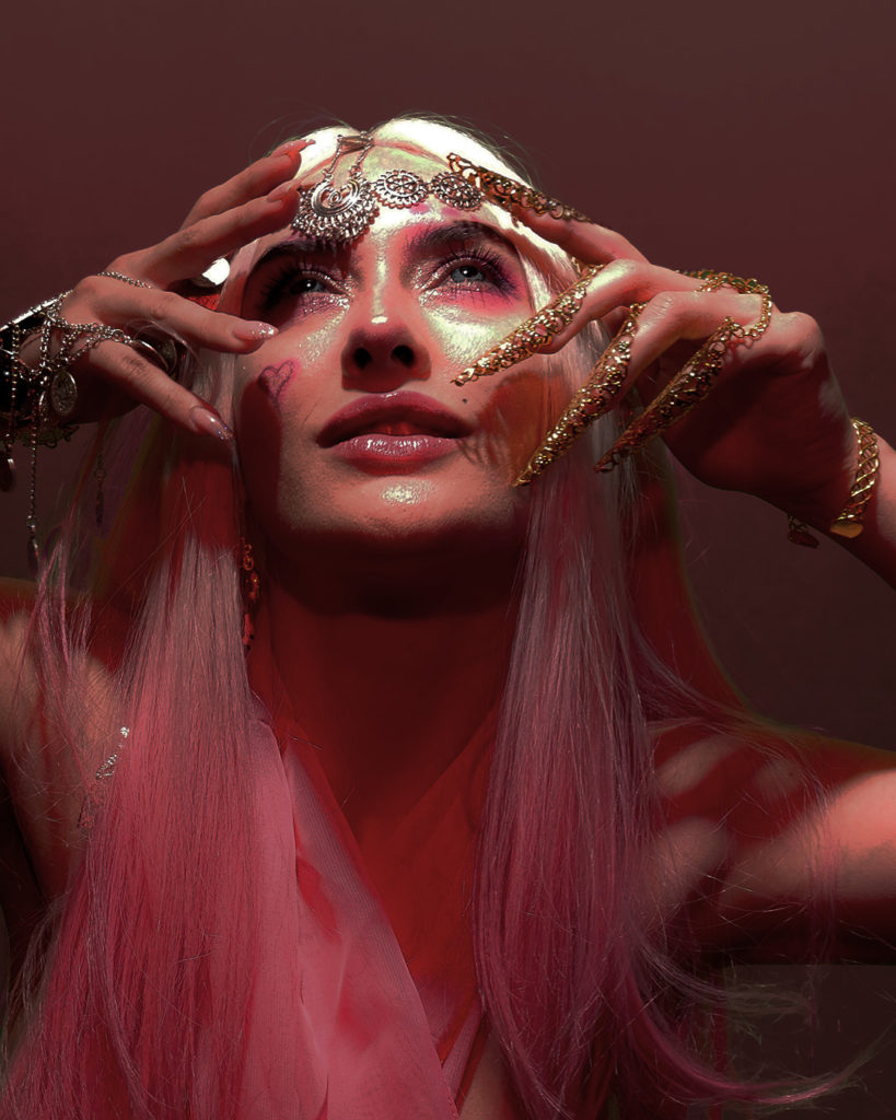 Stevie IG P1240395 copy