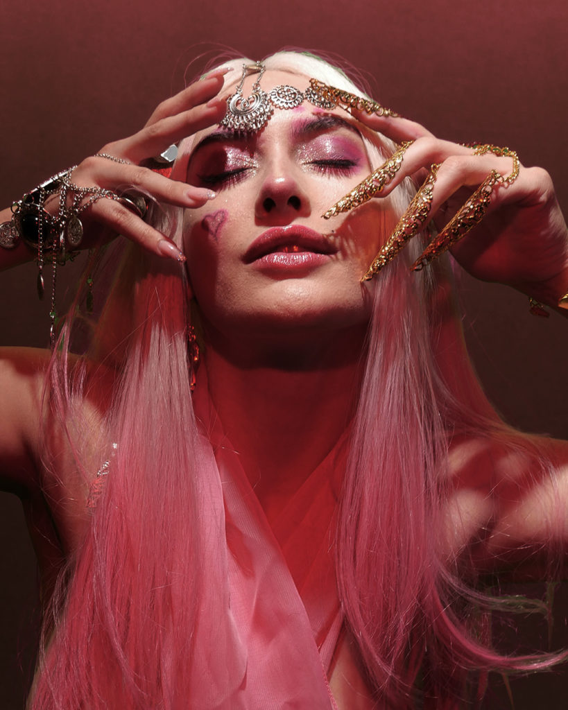 Stevie IG P1240396 copy