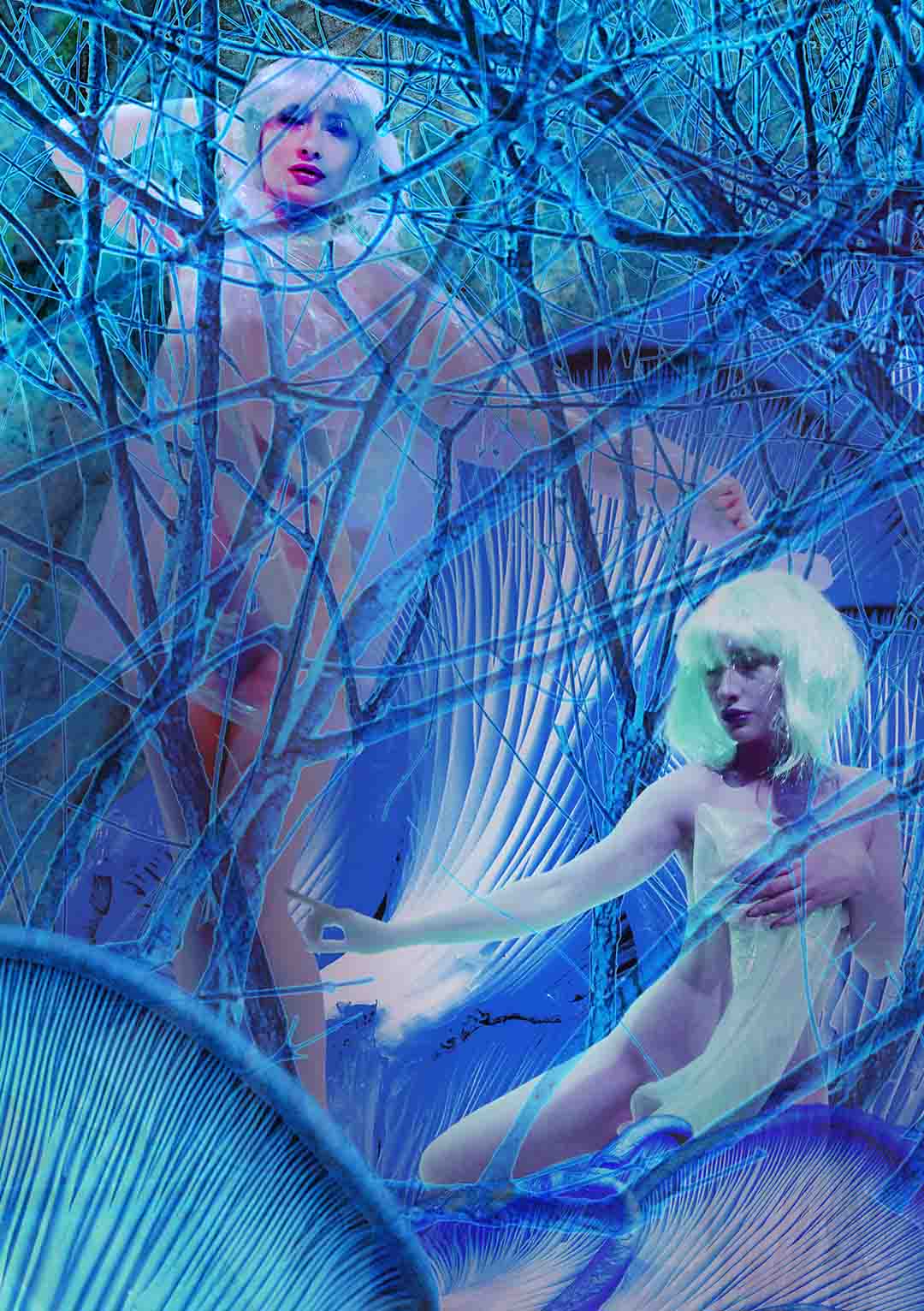 Blue Wood Fairies – Agoda