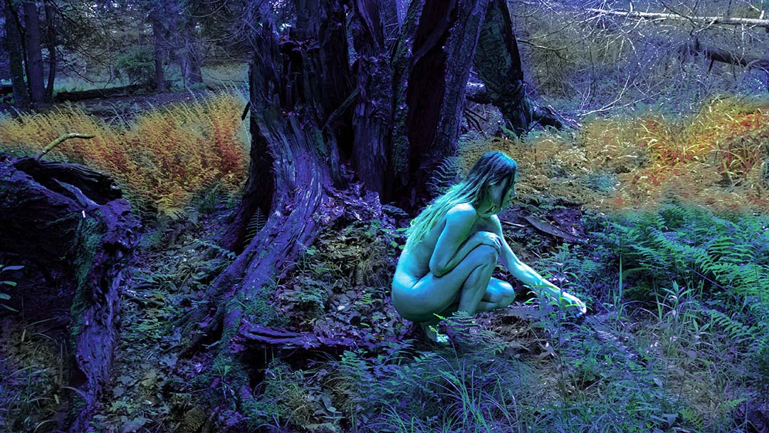 Eva Foraging in a Magical Forest