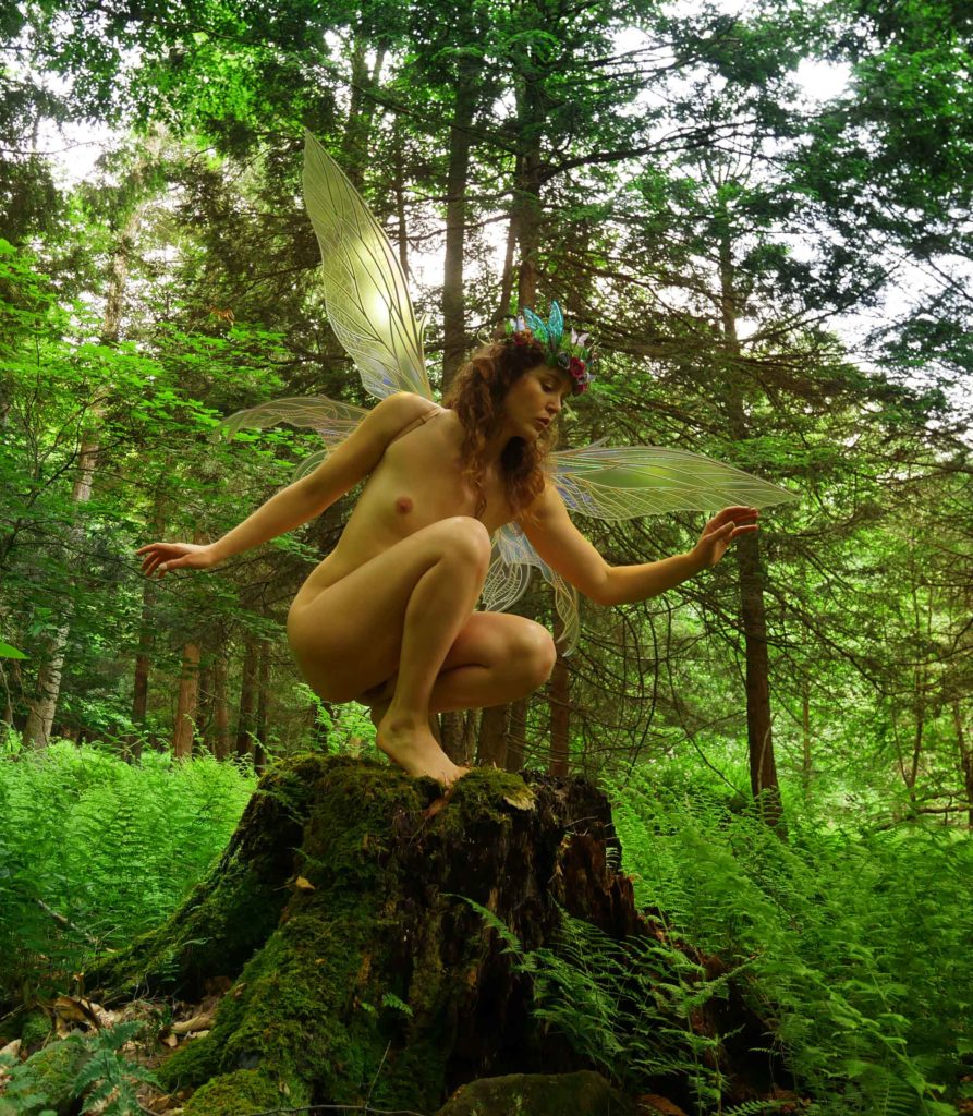 Jessa Ray Muse Fairy P1680287