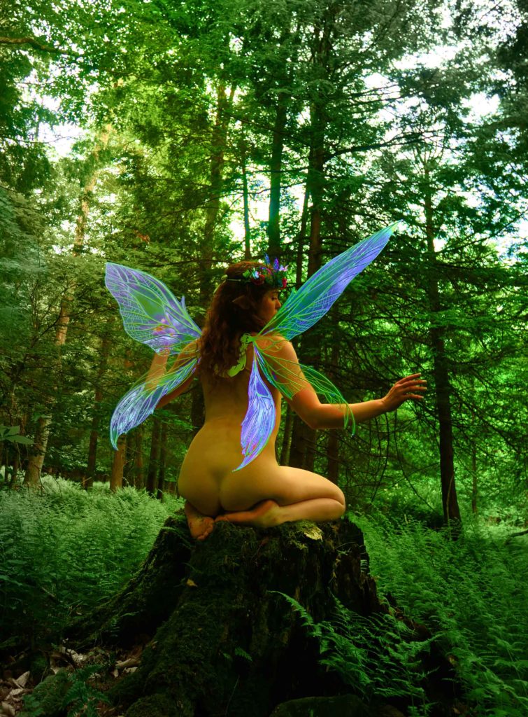 Jessa Ray Muse Fairy P1680310