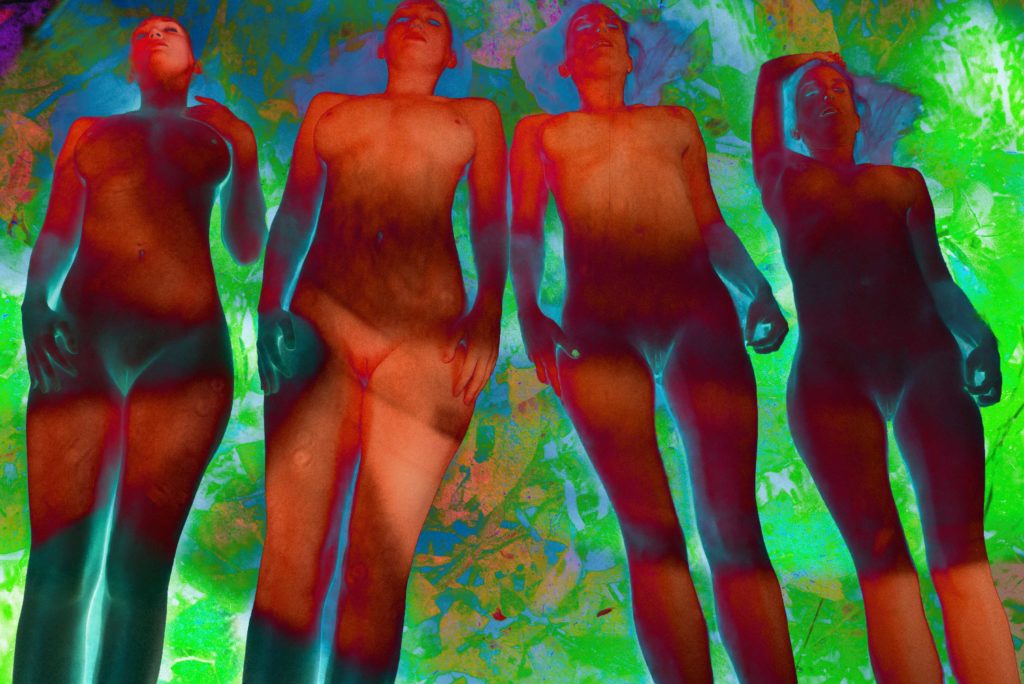 Kay Rachel P1660852 Preserved